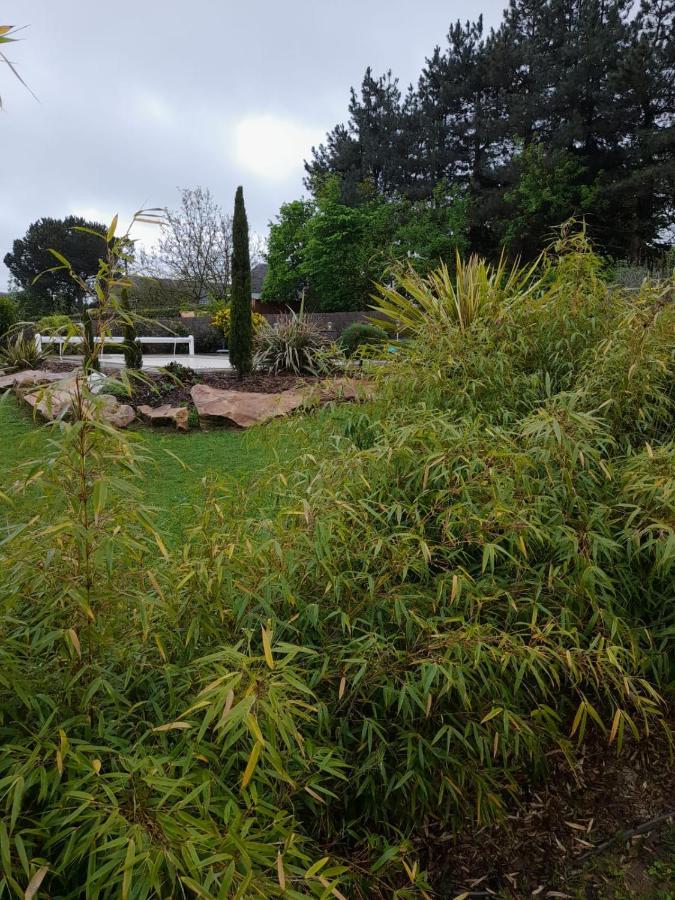 Chambre Dans Un Ecrin De Verdure Angrie ภายนอก รูปภาพ